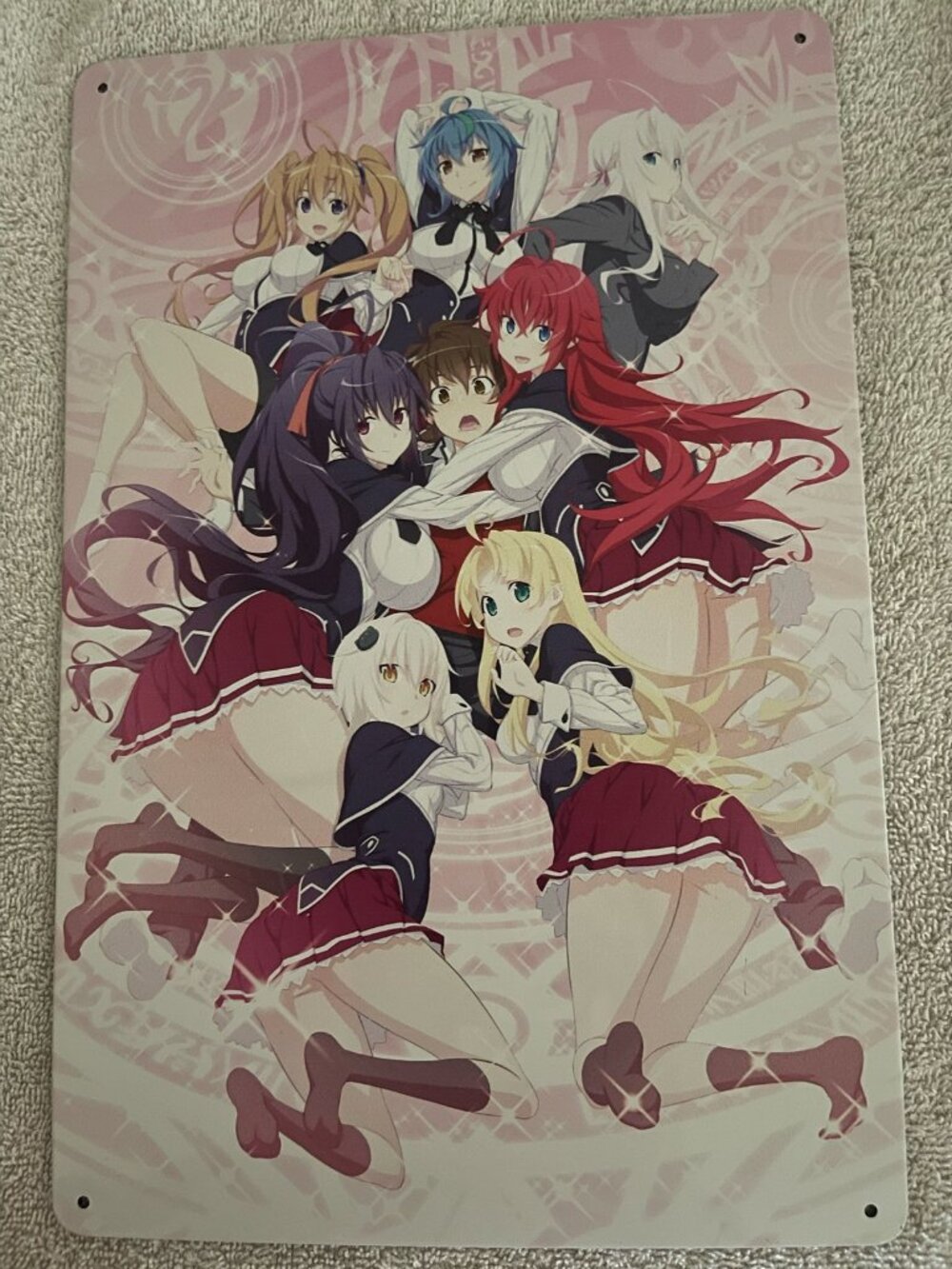 High School D XD Aimee Metal Wall Art Deco